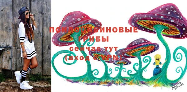 амф Приозерск