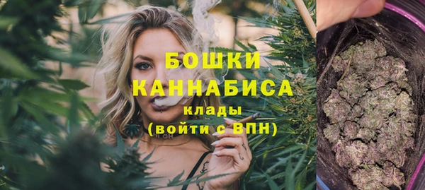 сатива Аша