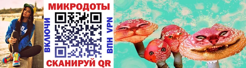 мега рабочий сайт  Балей  Галлюциногенные грибы Psilocybe 